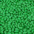 Chocolate Covered Light Green Candy Sunflower Seeds